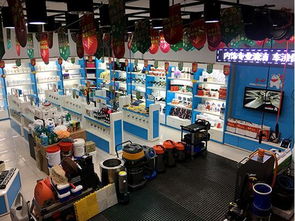2018年賺錢(qián)商機(jī) 開(kāi)汽車(chē)美容用品代理店與拓展保潔服務(wù)